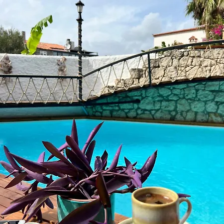 Hotel B House