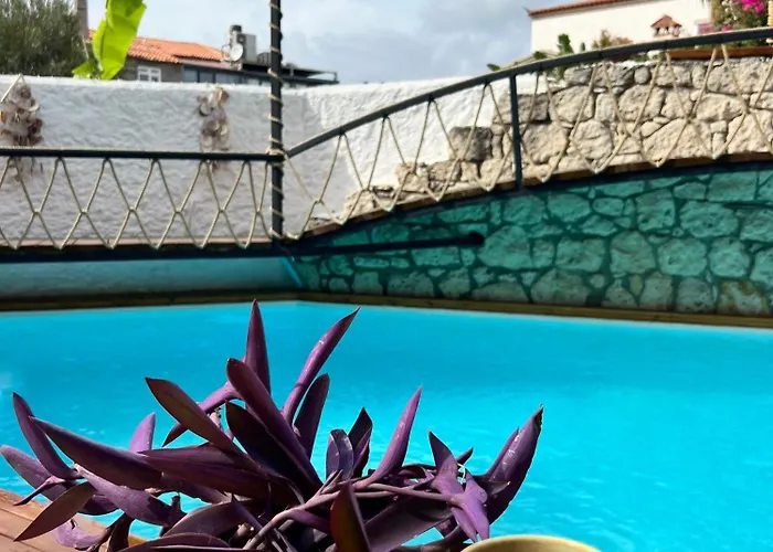 Hotel B House